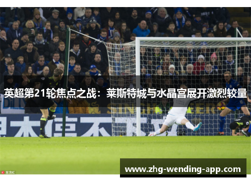 英超第21轮焦点之战:莱斯特城与水晶宫展开激烈较量 英超第21轮焦点之战:莱斯特城与水晶宫展开激烈较量